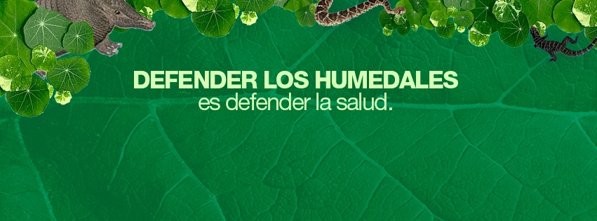 UPVA - Unidos por la Vida y el Medio Ambiente