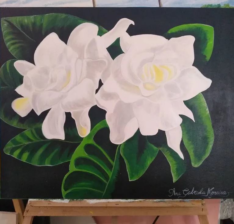 Artes anna