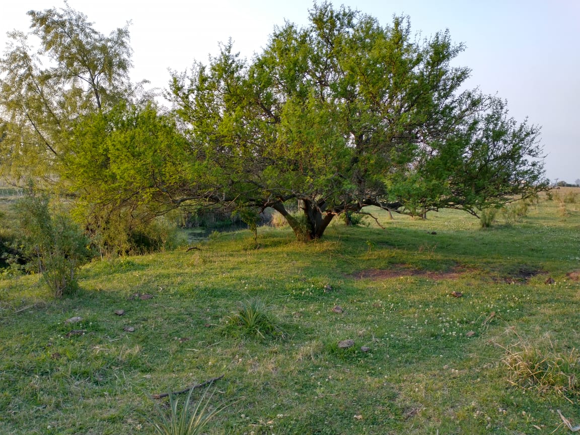 Desembocadura Arroyo Marconi