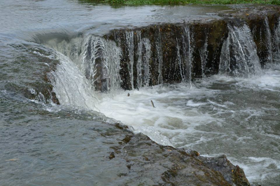 Cascadas Manantiales