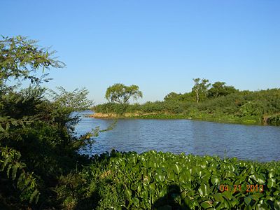 Isla Tonelero