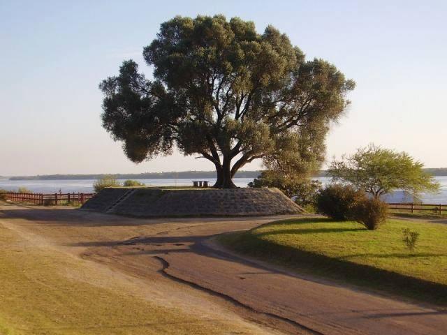 Paseo de los Olivos
