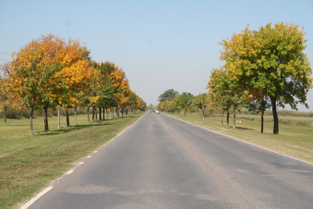 Camino de la costa