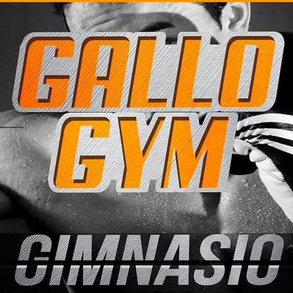 Gallo GYM