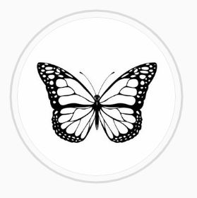 Butterfly by Mili