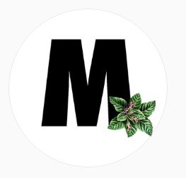 Mandragora