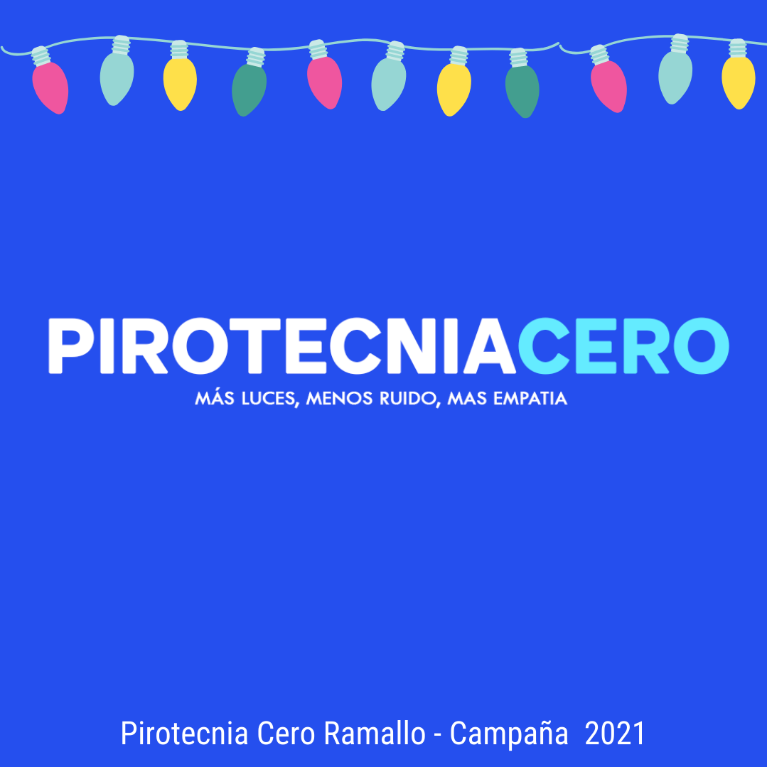 Pirotecnia Cero Ramallo